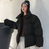 Korean Style 2019 Winter Jacket Women